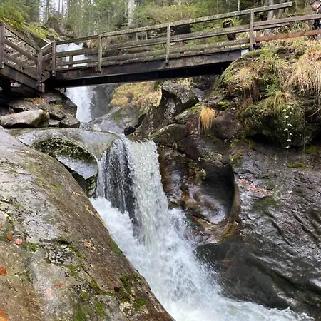 Brunnbauer Διαμέρισμα Langdorf (Regen)