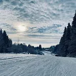 Brunnbauer Langdorf (Regen)